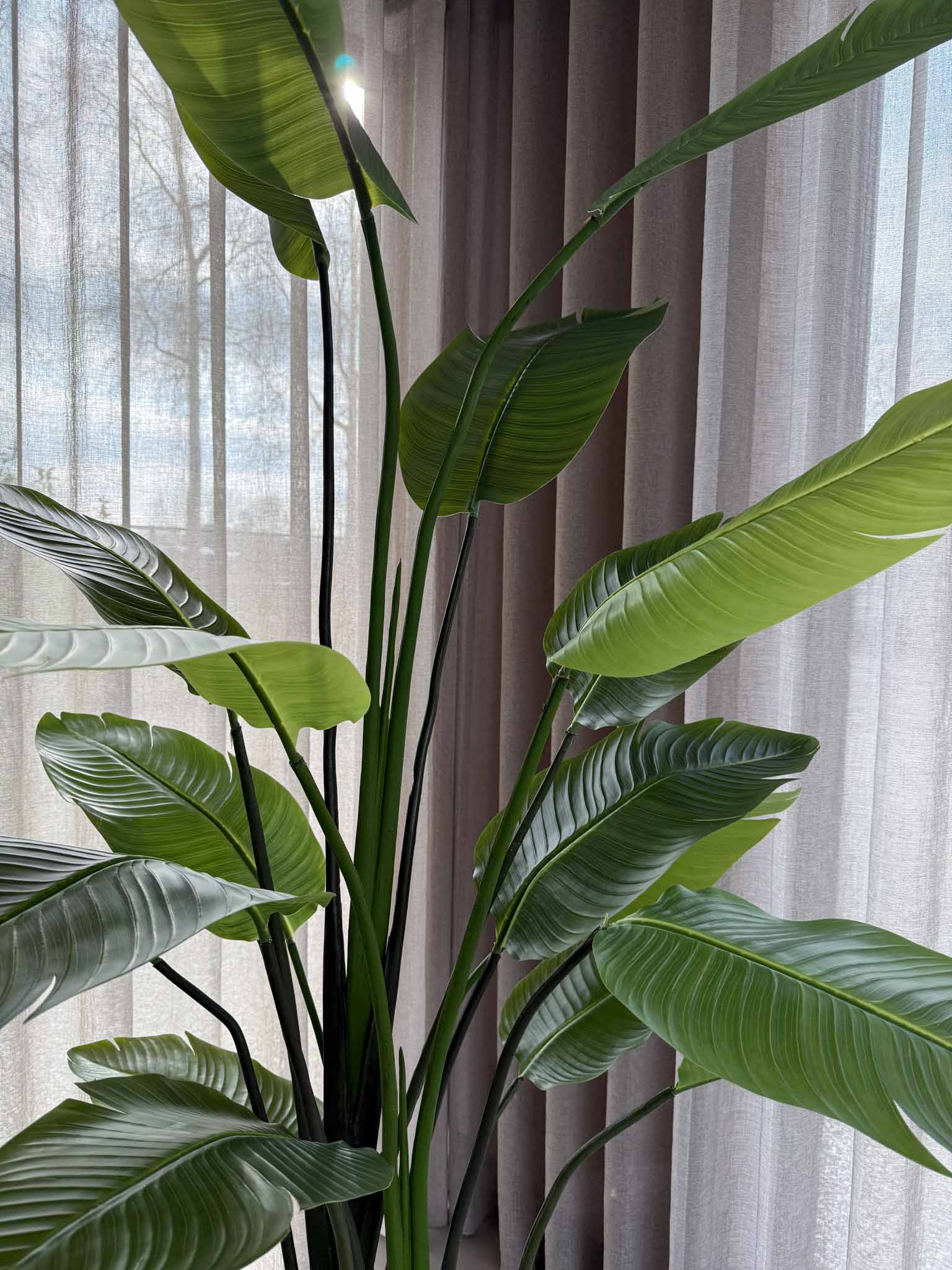 Hoge kwaliteit zijden plant Strelitzia grote bladeren, planten, groene zijdenplant. kunstbloemen in vaas van By Bloomz, boeket op maat, bloemen abonnement