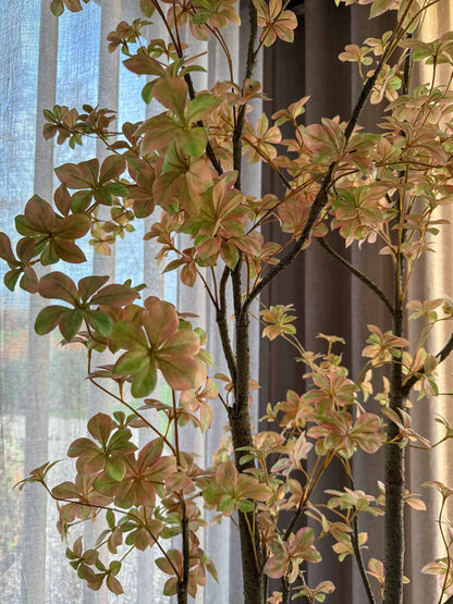 close up van de zijden plant Tropaeolum