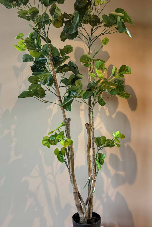 Zijden plant voor interieur kunstplant