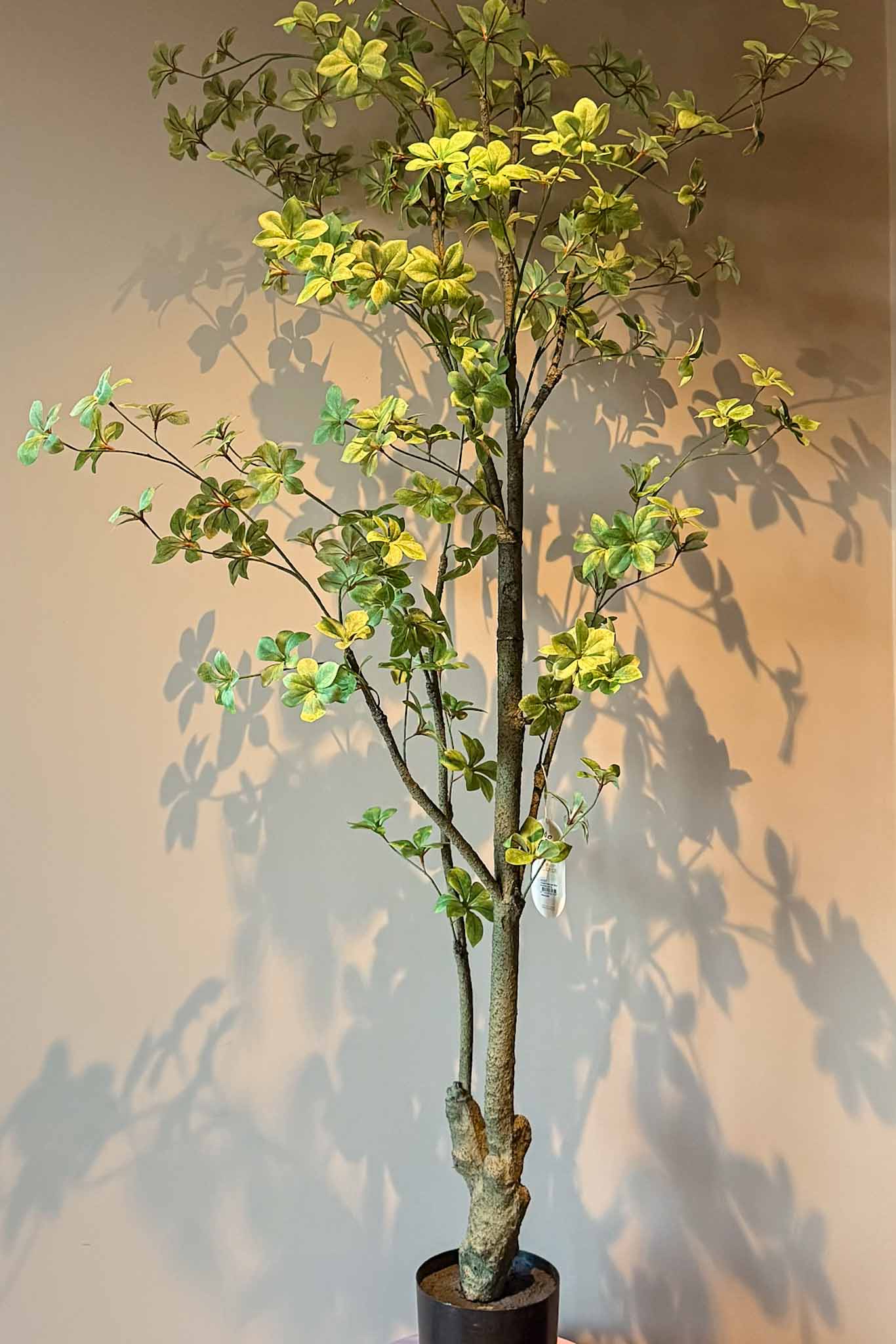 Zijden plant voor interieur kunstplant