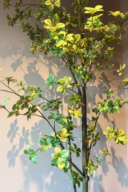 Zijden plant voor interieur kunstplant