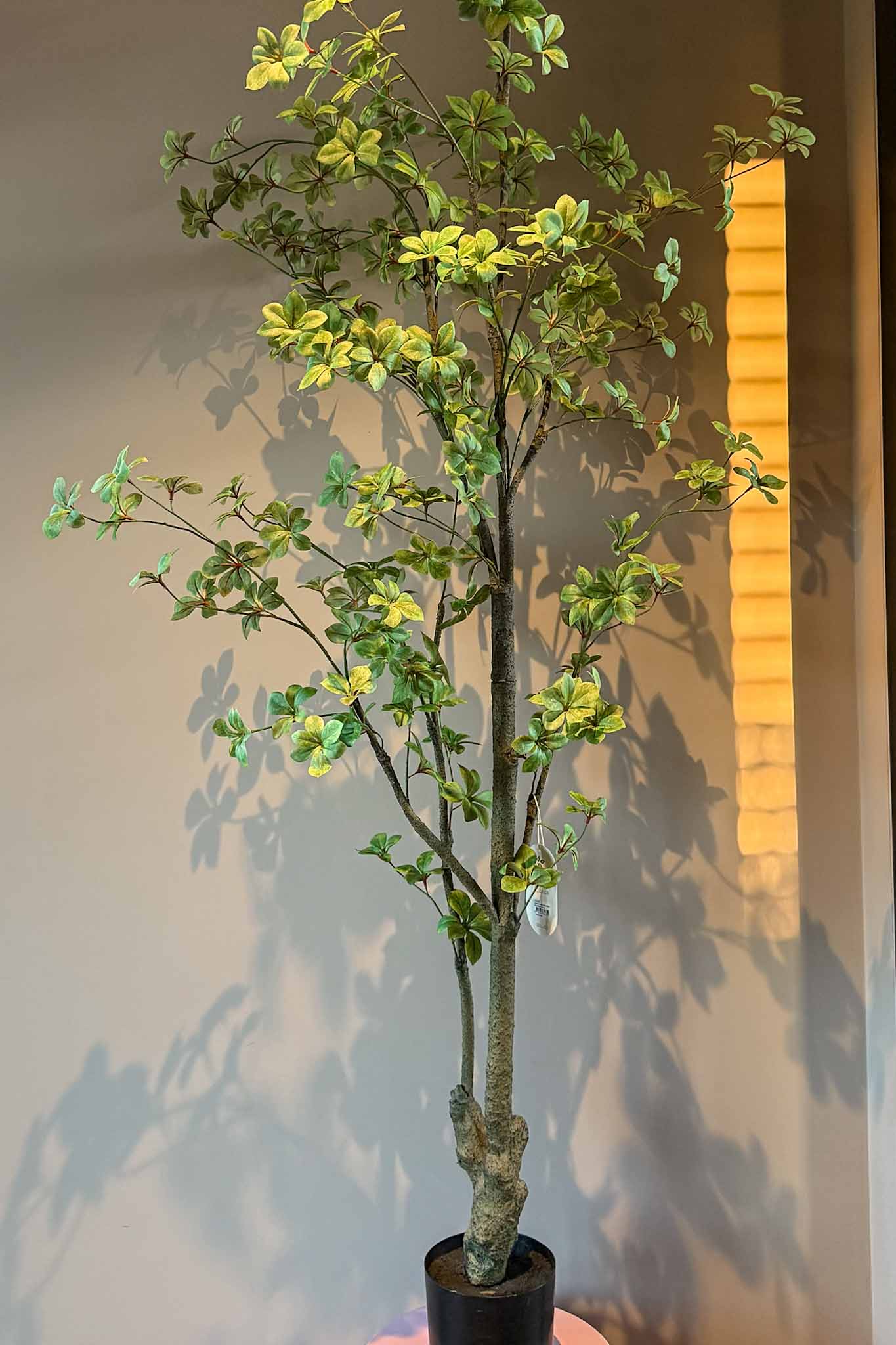 Zijden plant voor interieur kunstplant