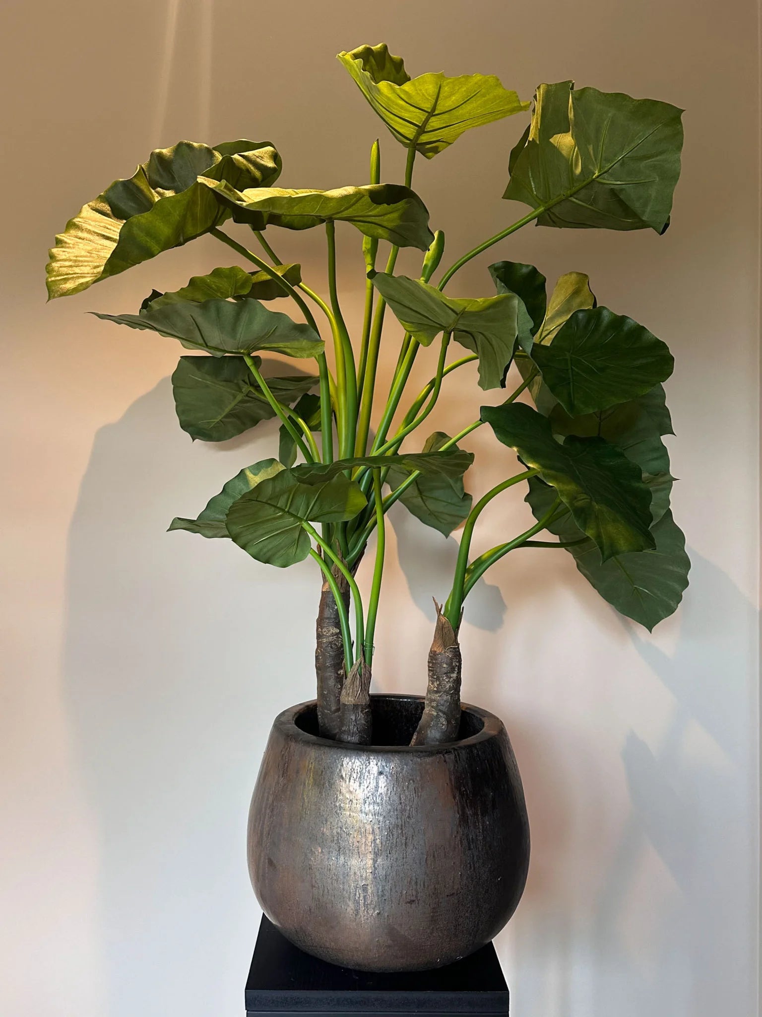Hoge kwaliteit zijdeplant alocasia calidora grote bladeren, planten, groene zijdenplant. kunstbloemen in vaas van By Bloomz, boeket op maat, bloemen abonnement