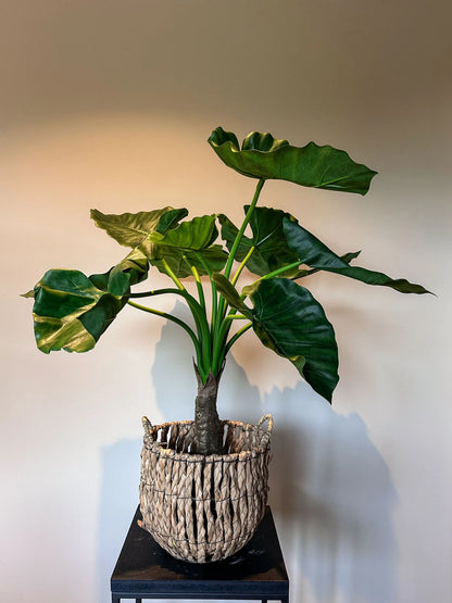 Hoge kwaliteit zijdeplant alocasia calidora grote bladeren, planten, groene zijdenplant. kunstbloemen in vaas van By Bloomz, boeket op maat, bloemen abonnement